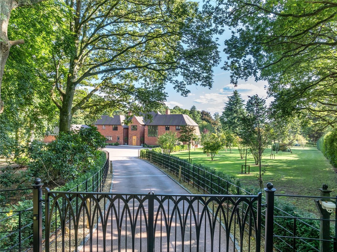 Lower Durford Wood, Petersfield, West Sussex In United Kingdom For Sale