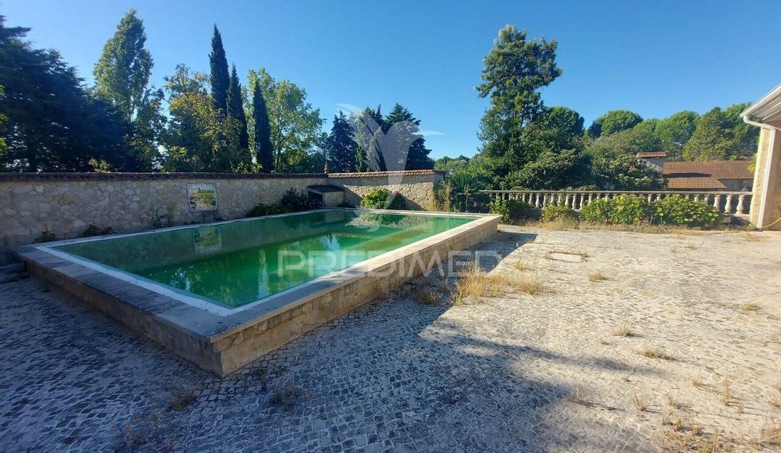 Farm Ranch in Romeira e Varzea, Santarem District, Portugal 4 - 14688030