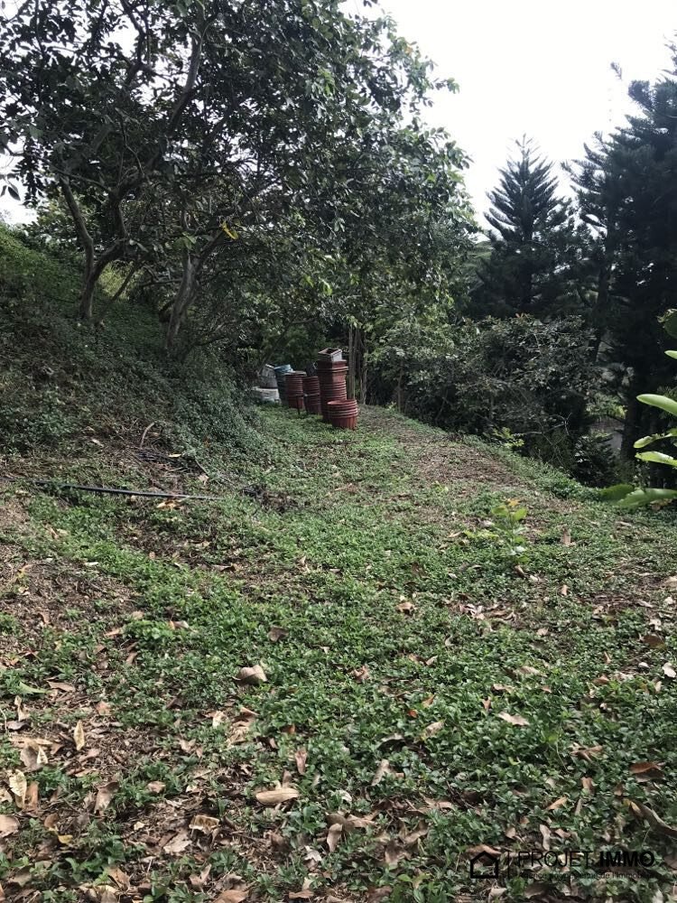 Land in Pīra'e, Windward Islands, French Polynesia 4 - 14762818