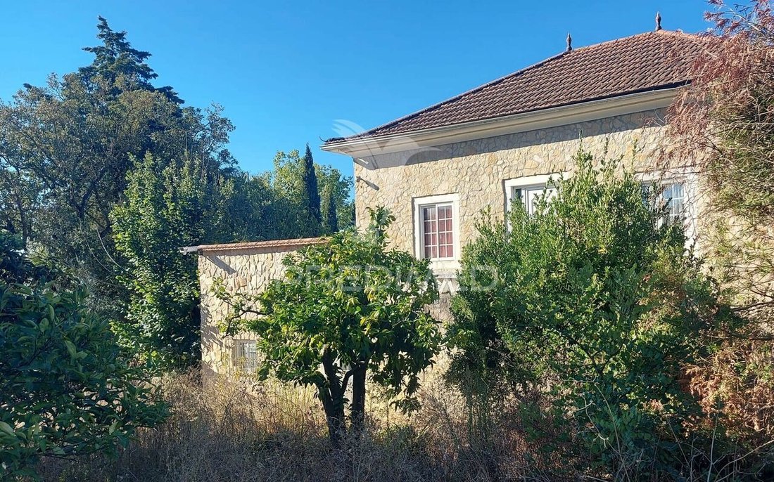 Farm Ranch in Romeira e Varzea, Santarem District, Portugal 3 - 14688030
