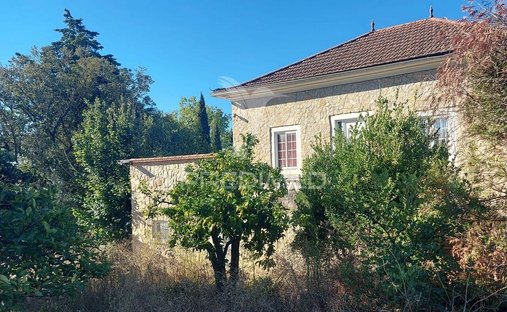 Azienda agricola a Romeira e Varzea, Distretto di Santarém, Portogallo 1