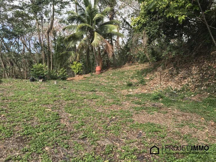 Land in Pīra'e, Windward Islands, French Polynesia 2 - 14762818