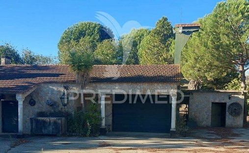 Farm Ranch in Romeira e Varzea, Santarem District, Portugal 1