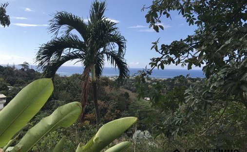 Land in Pirae, Inseln über dem Winde, Französisch-Polynesien 1