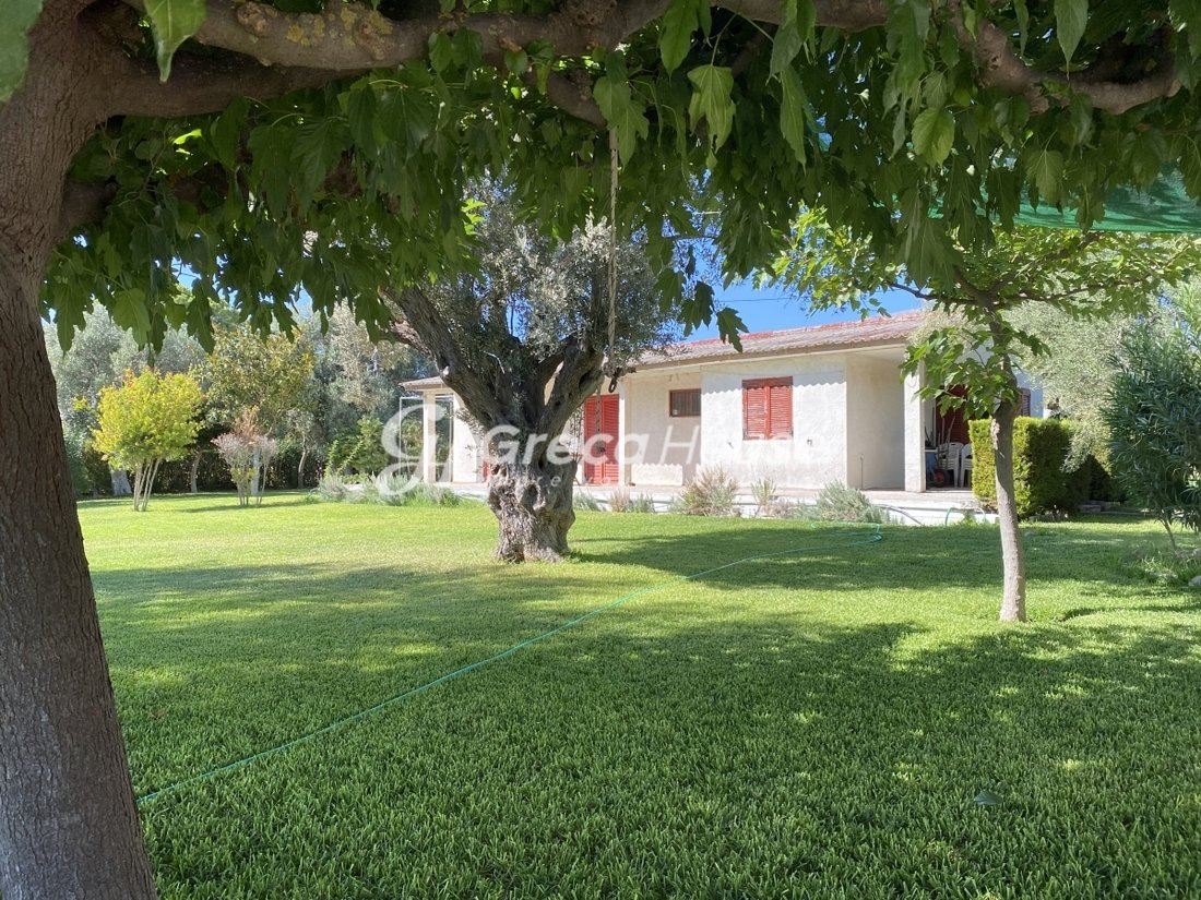 House in Eretria, Thessaly and Central Greece, Greece 2 - 14761369