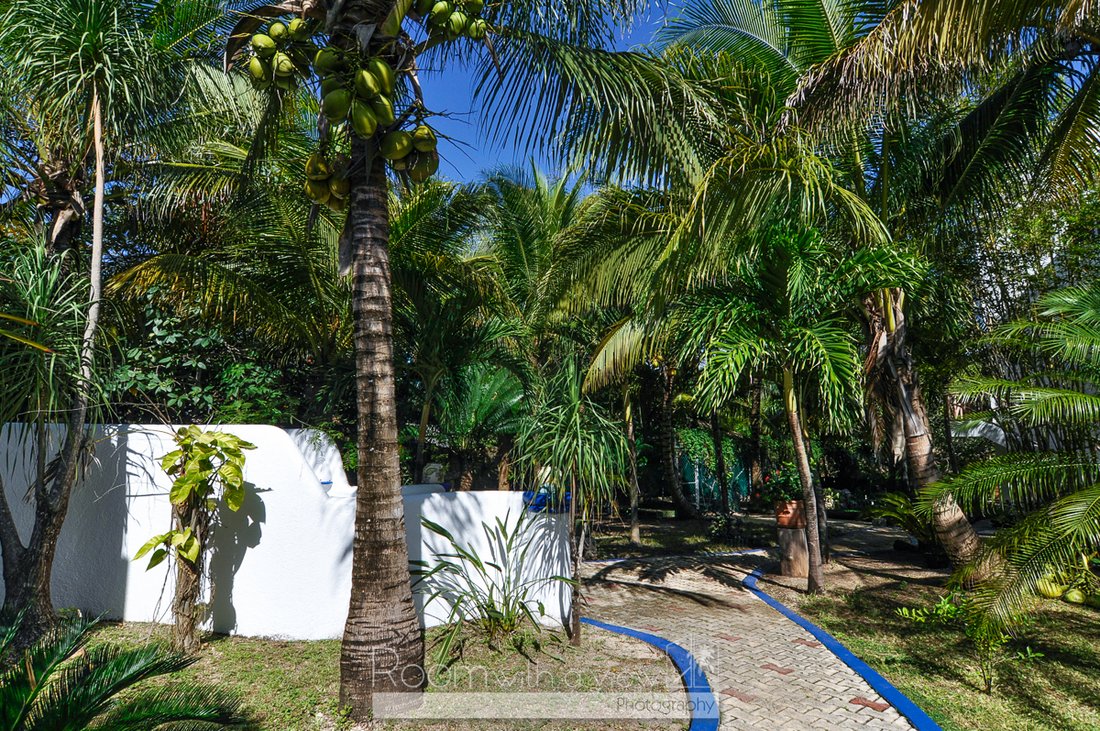 House in Akumal, Quintana Roo, Mexico 5 - 14760855