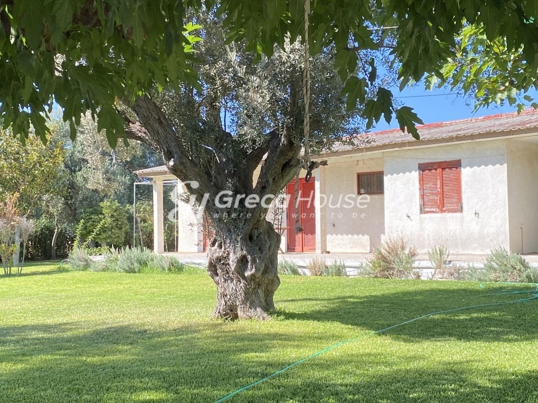 House in Eretria, Thessaly and Central Greece, Greece 5 - 14761369