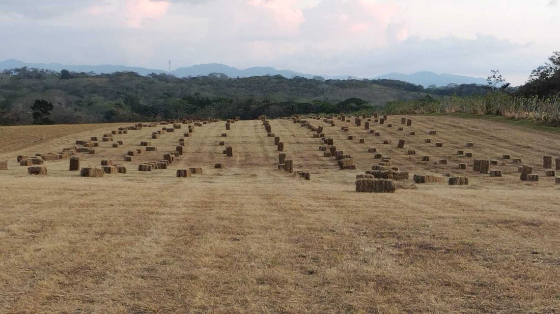 Finca in Orotina, Guanacaste Province, Costa Rica 4 - 14764473