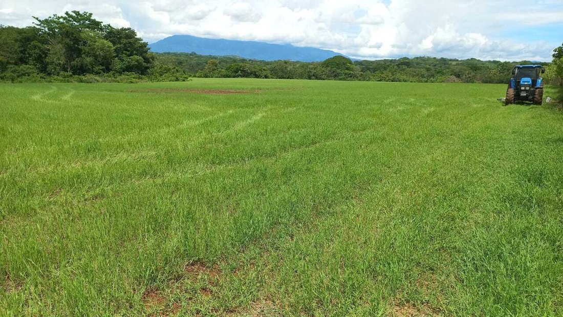 Finca in Orotina, Guanacaste Province, Costa Rica 3 - 14764473