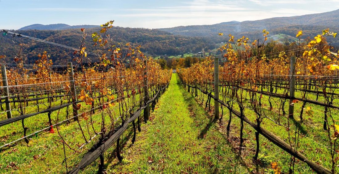 Farm Ranch in Charlottesville, Virginia, United States 1 - 14763356