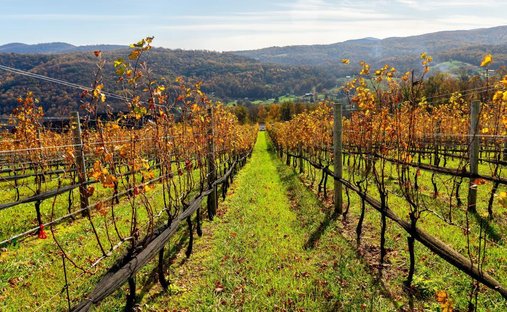 Farm Ranch in Charlottesville, Virginia, United States 1