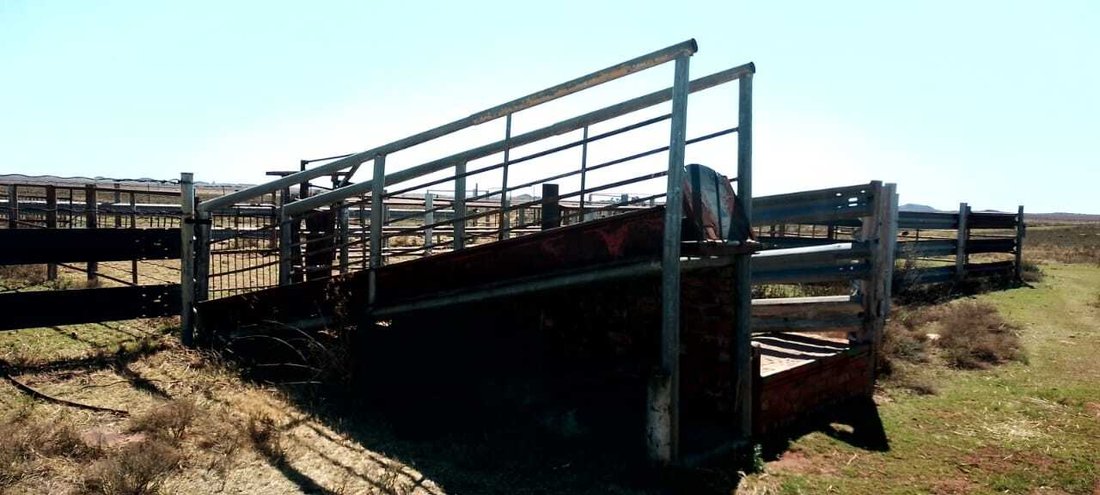 Farm Ranch in Petrusburg, Free State, South Africa 5 - 14764508