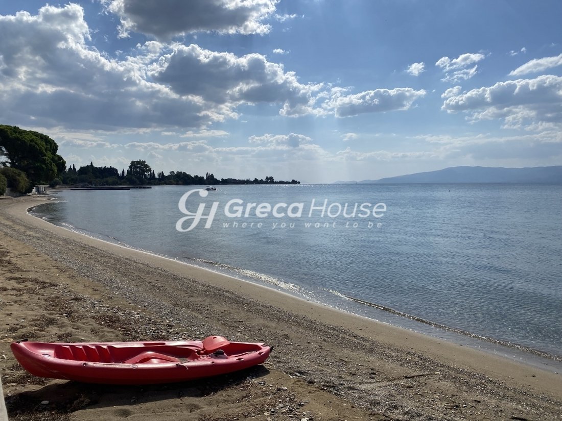 House in Amarynthos, Thessaly and Central Greece, Greece 1 - 14764338