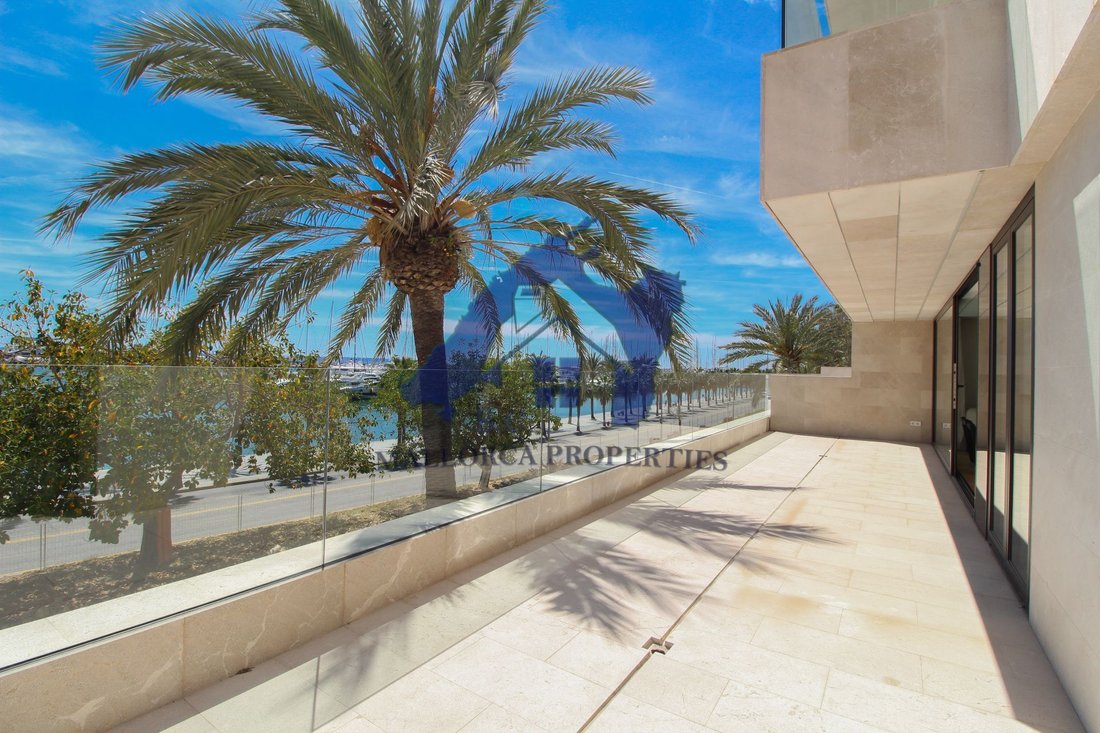 Apartment in Palma, Balearic Islands, Spain 1 - 14765493