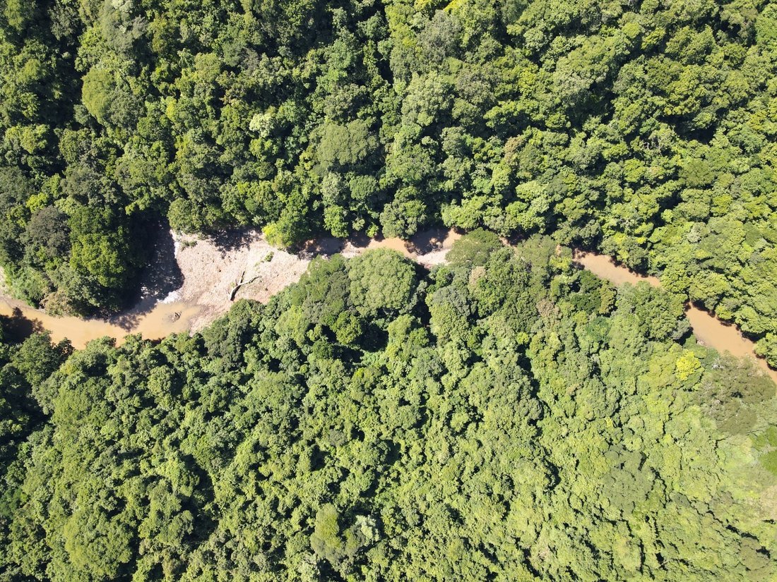 Finca in Orotina, Guanacaste Province, Costa Rica 2 - 14764473