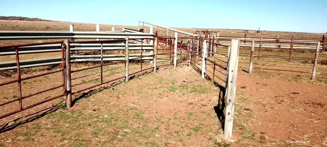 Farm Ranch in Petrusburg, Free State, South Africa 1 - 14764508