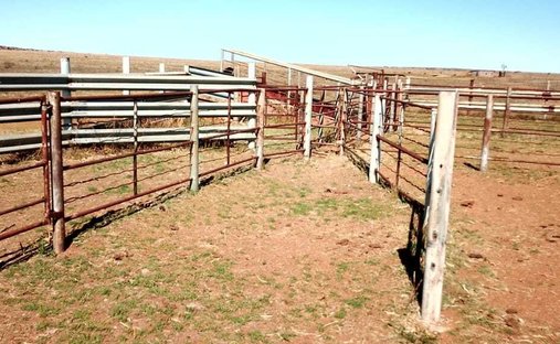 Azienda agricola a Petrusburg, Free State, Sudafrica 1