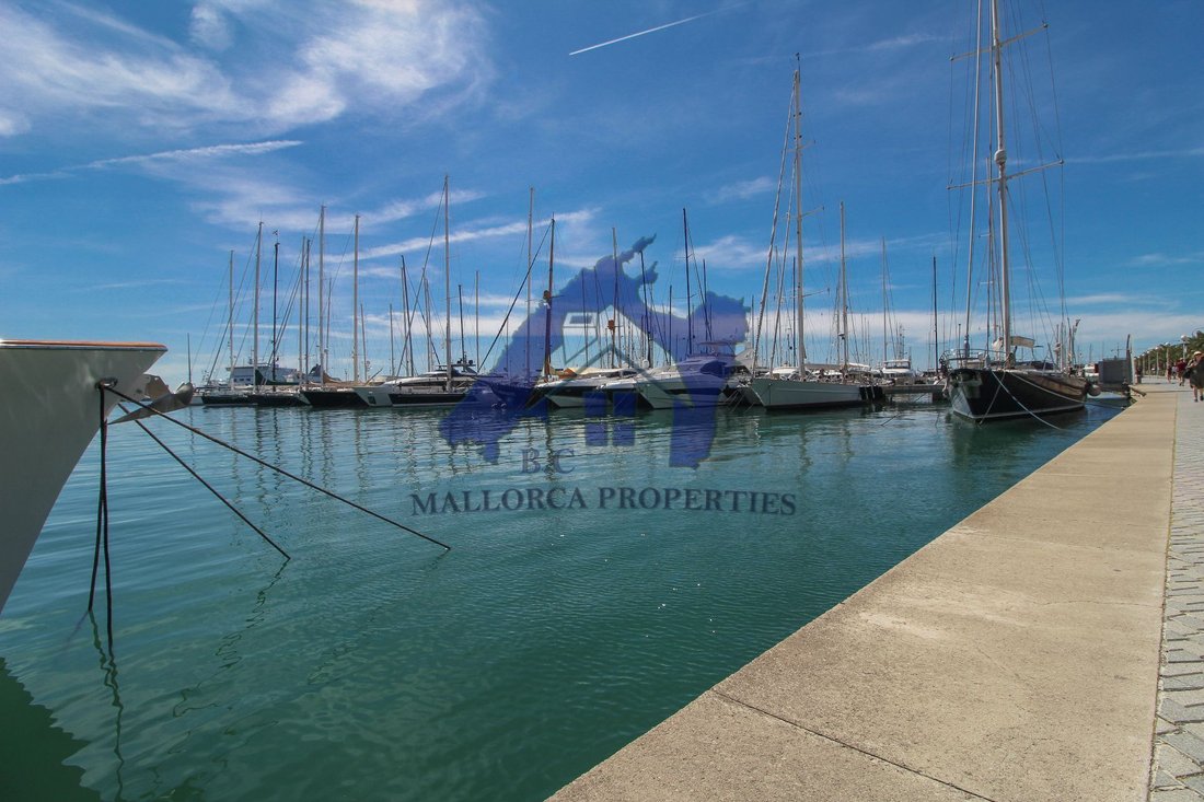 Apartment in Palma, Balearic Islands, Spain 3 - 14765493