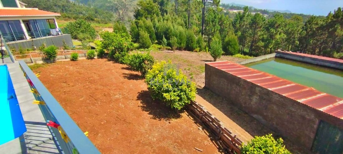 Villa in Prazeres, Madeira, Portugal 3 - 14763444