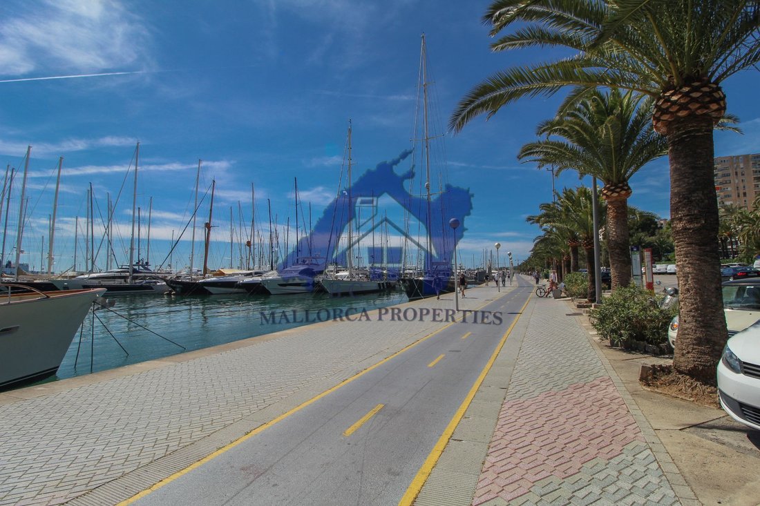 Apartment in Palma, Balearic Islands, Spain 4 - 14765493
