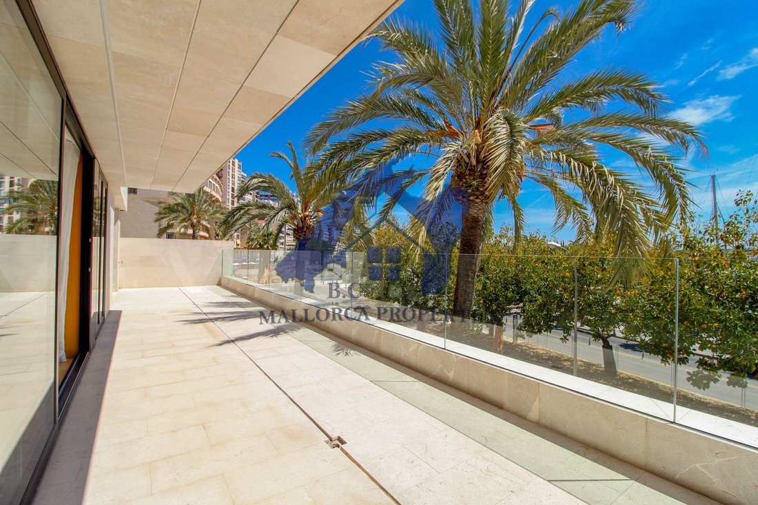 Apartment in Palma, Balearic Islands, Spain 2 - 14765493