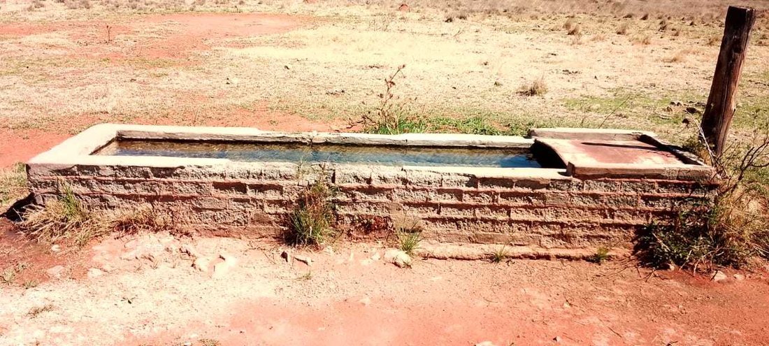 Farm Ranch in Petrusburg, Free State, South Africa 4 - 14764508
