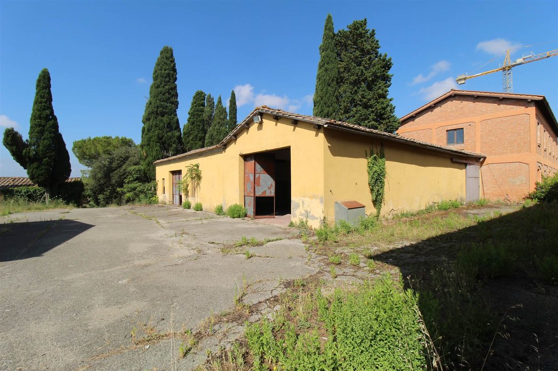 Estate in Asciano, Tuscany, Italy 3 - 14764884
