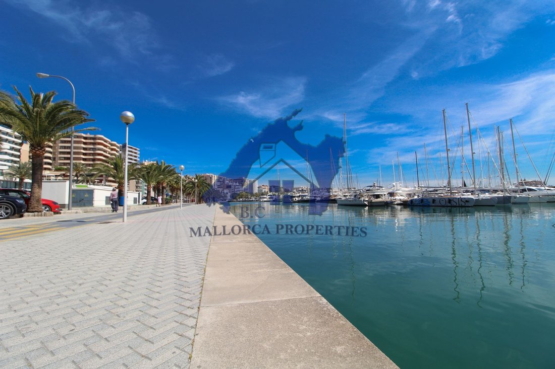 Apartment in Palma, Balearic Islands, Spain 5 - 14765493