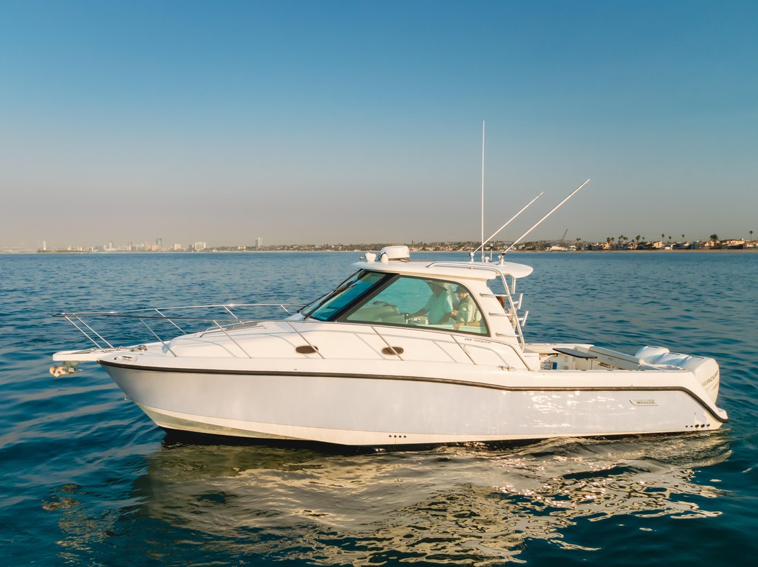Sport Fisherman in United States 2 - 14764139
