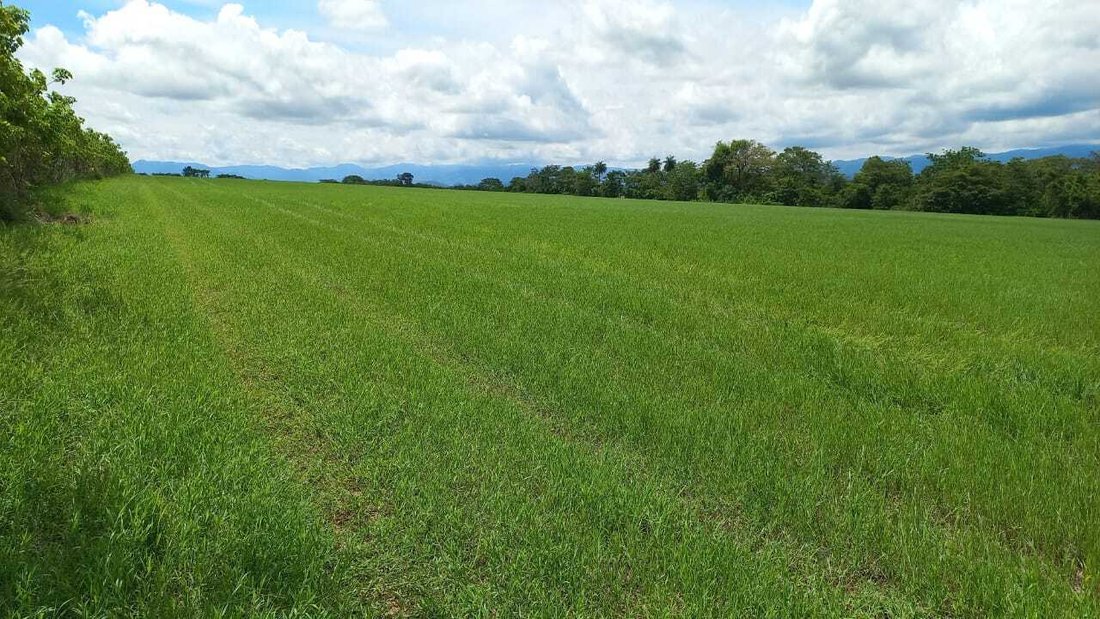 Finca in Orotina, Guanacaste Province, Costa Rica 5 - 14764473