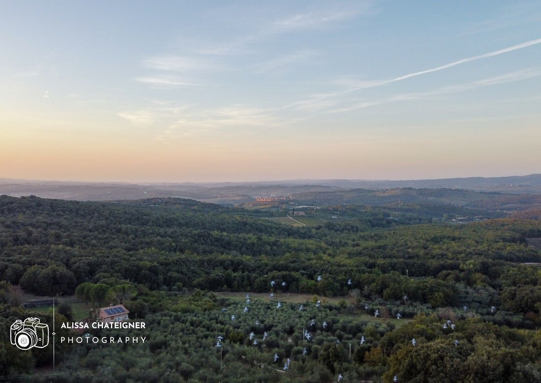 Casa de Campo en Montagnola Senese, Toscana, Italia 1 - 14766895