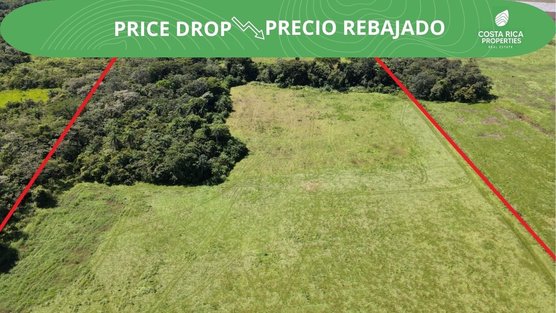 Finca in Orotina, Guanacaste Province, Costa Rica 1 - 14764473