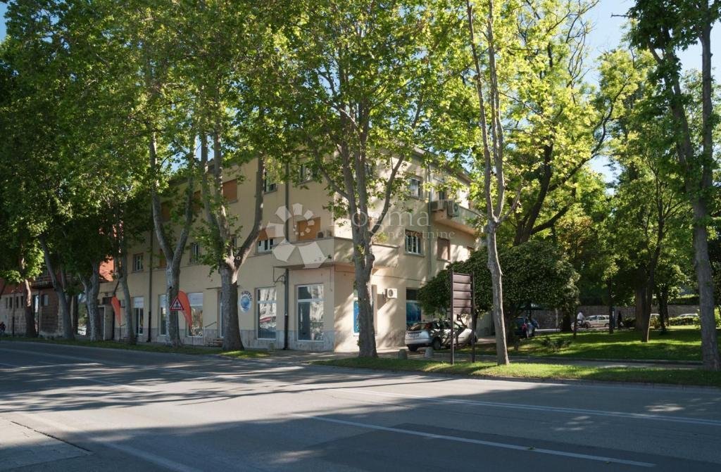 Apartment in Mjesni odbor Poluotok, Zadar, Zadar County 1 - 14768312