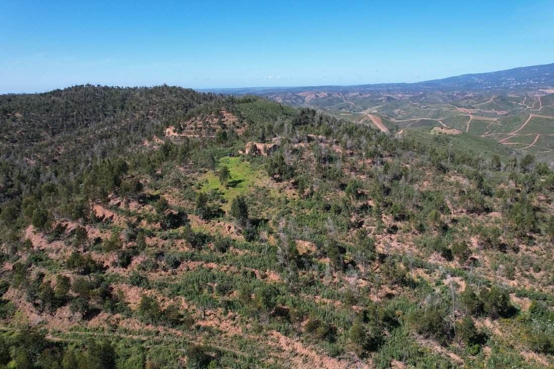 Silves, Algarve, Portugal 1 - 14767325