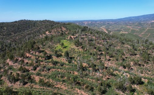 Silves, Algarve, Portugal 1