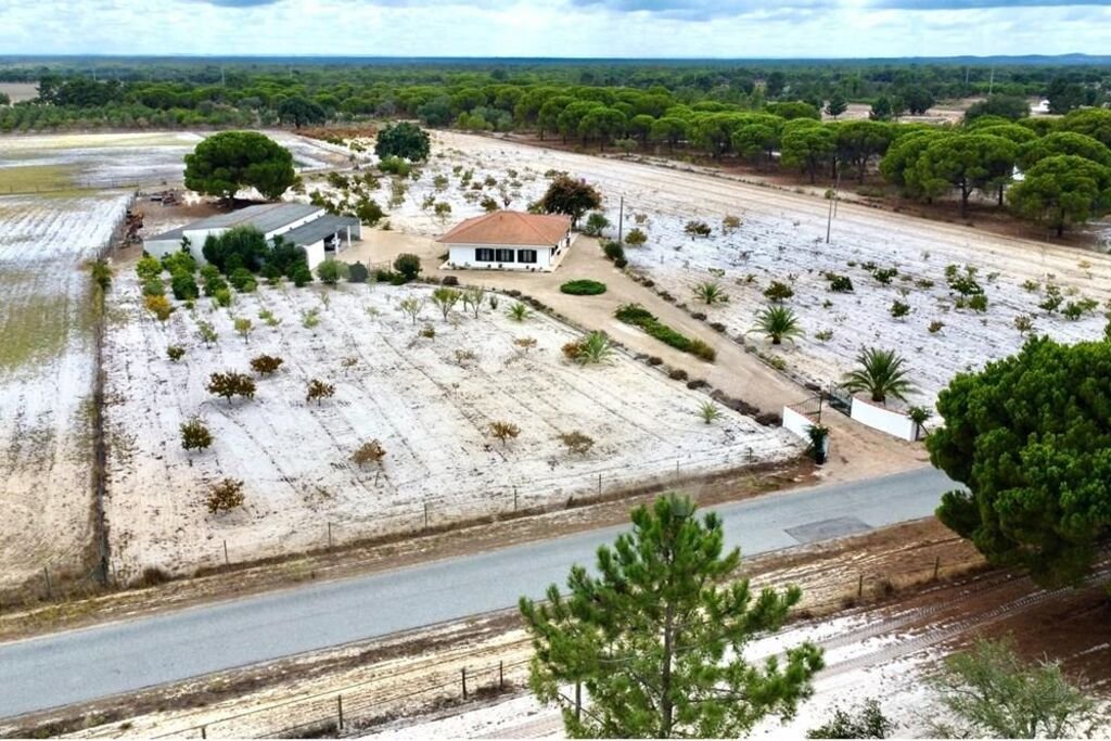 Farm Ranch in Alcacer do Sal, Setubal, Portugal 3 - 14770556