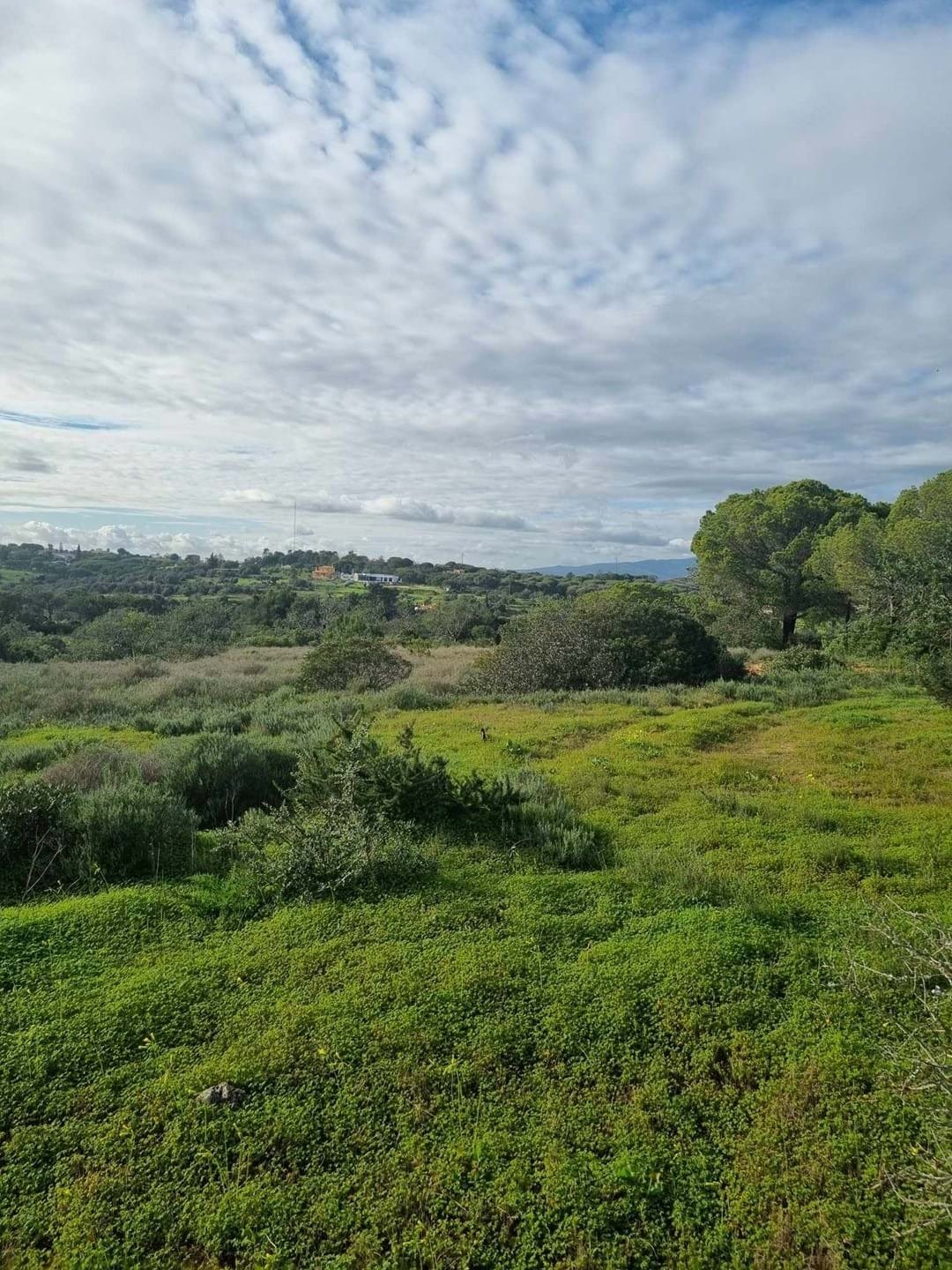 Land in Porches, Algarve, Portugal 3 - 14767331
