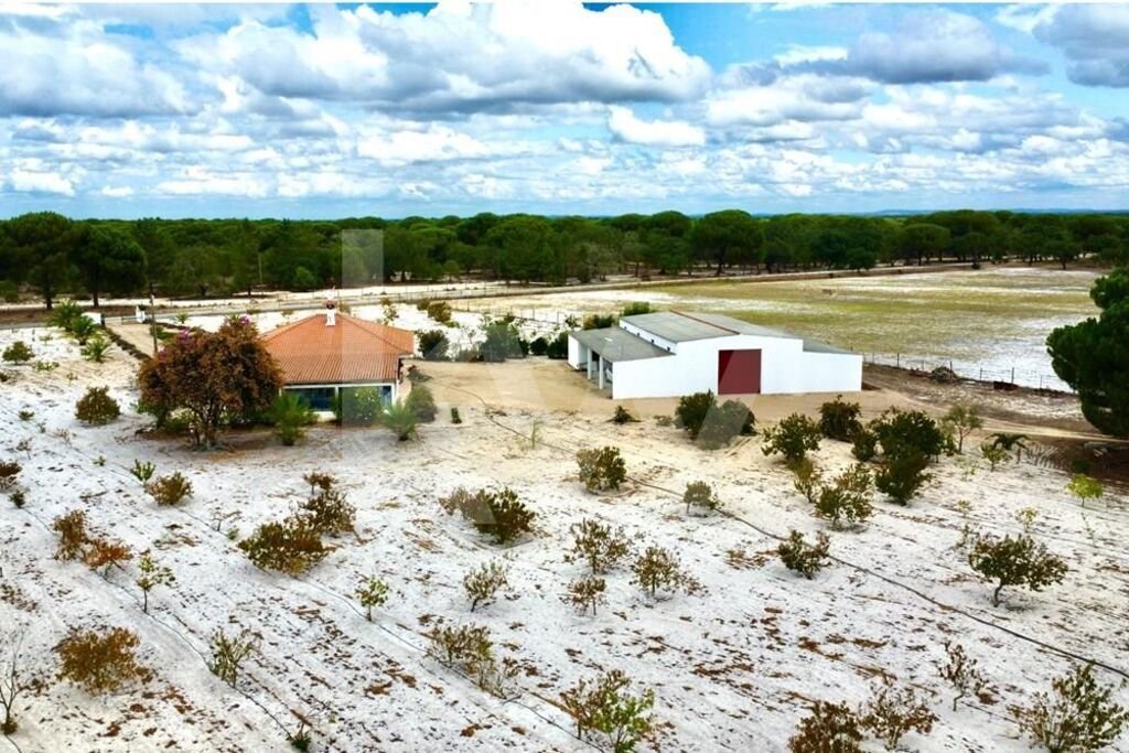 Farm Ranch in Alcacer do Sal, Setubal, Portugal 1 - 14770556