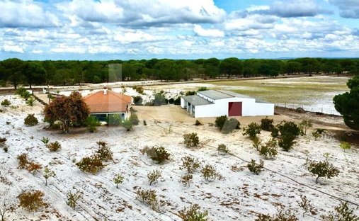 Azienda agricola a Alcácer do Sal, Setúbal Municipality, Portogallo 1