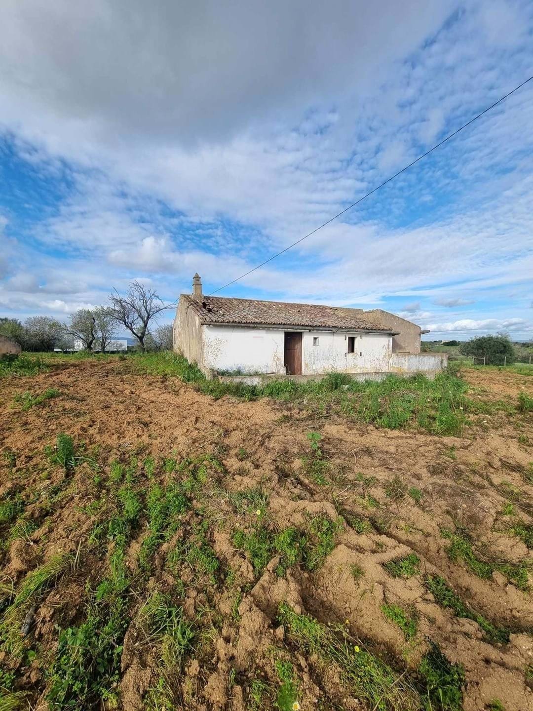 Land in Estombar e Parchal, Algarve, Portugal 1 - 14767358