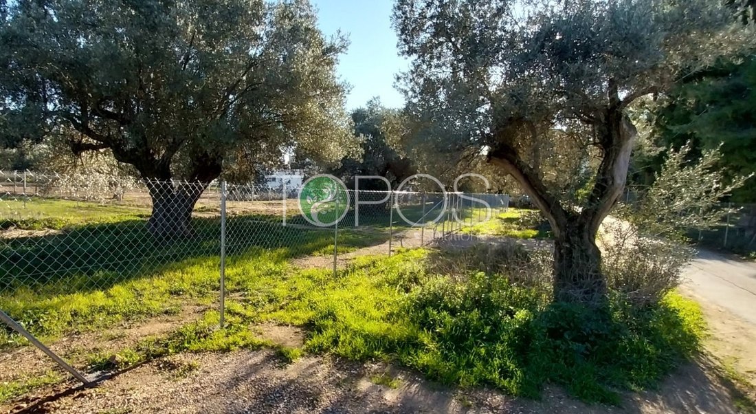 Land in North Athens, Attica, Greece 2 - 14769143