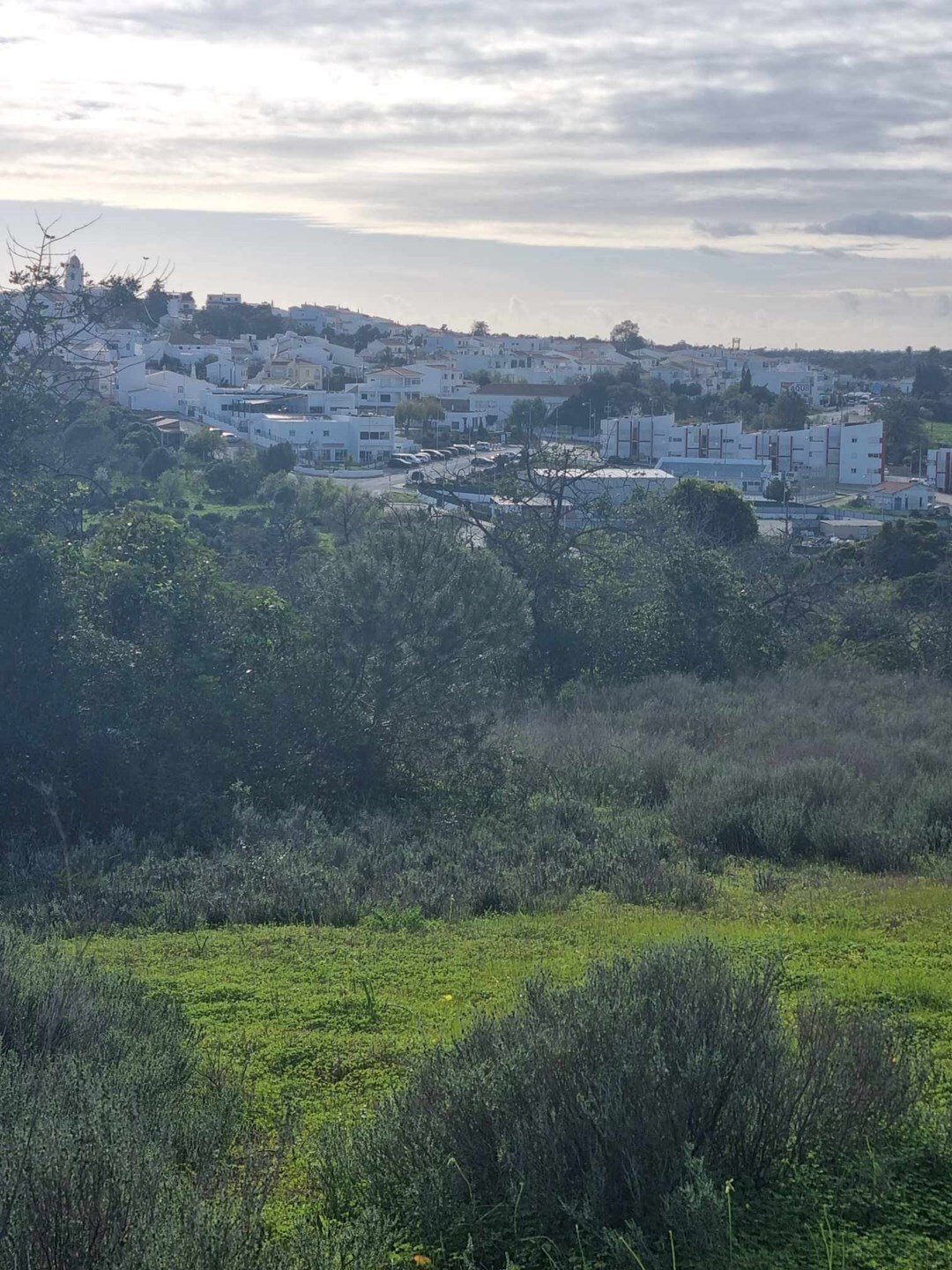 Land in Porches, Algarve, Portugal 5 - 14767331