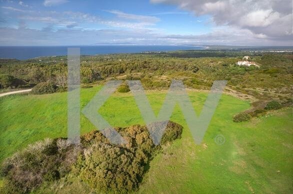 Land in Santiago, Setubal, Portugal 3 - 14767929