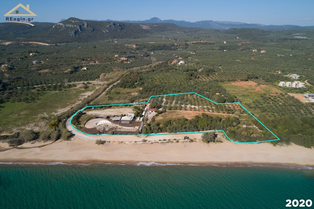 Land in Gargalianoi, Peloponnese, Western Greece and the Ionian, Greece 4 - 14774437