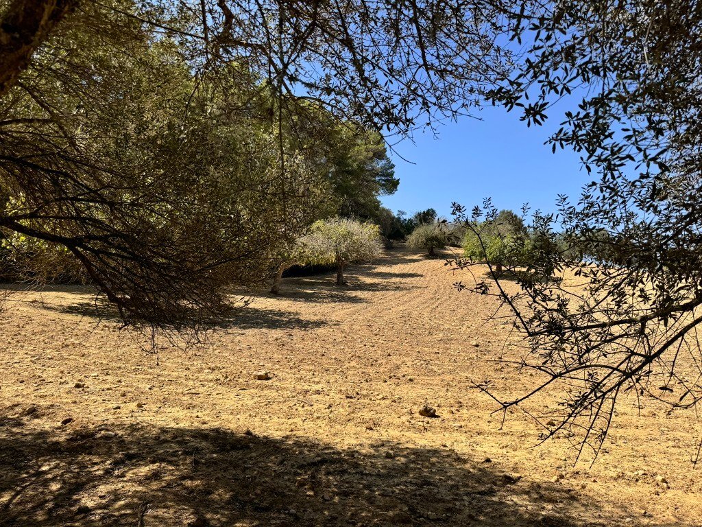 Finca in Maria de la Salut, Balearic Islands, Spain 5 - 14771520