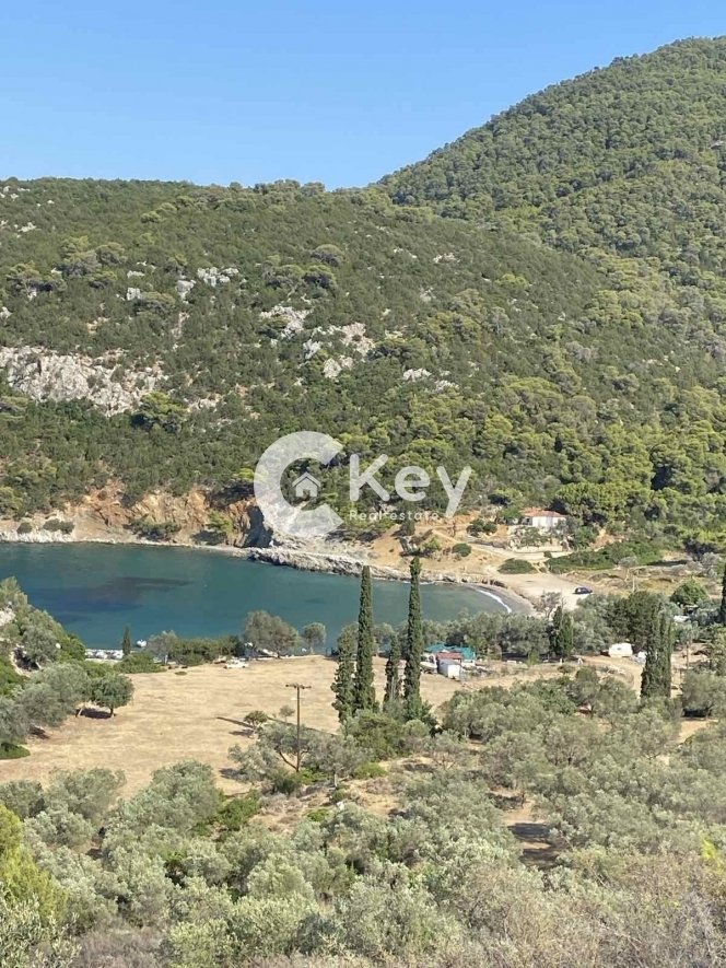Land in Kalavria, Attica, Greece 3 - 14775515