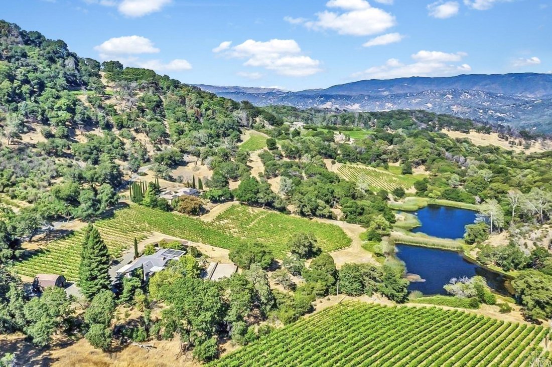 House in Napa, California, United States 4 - 14774443