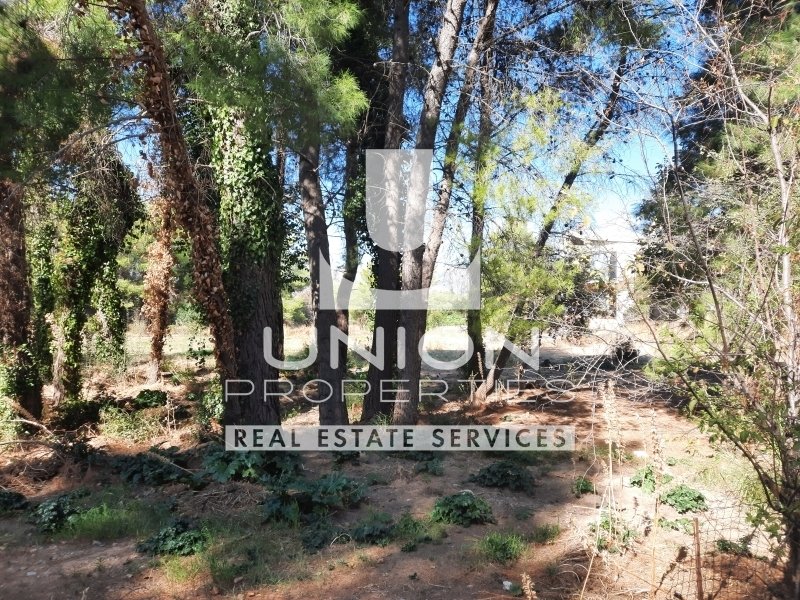 Land in Dionysos, Attica, Greece 3 - 14775593