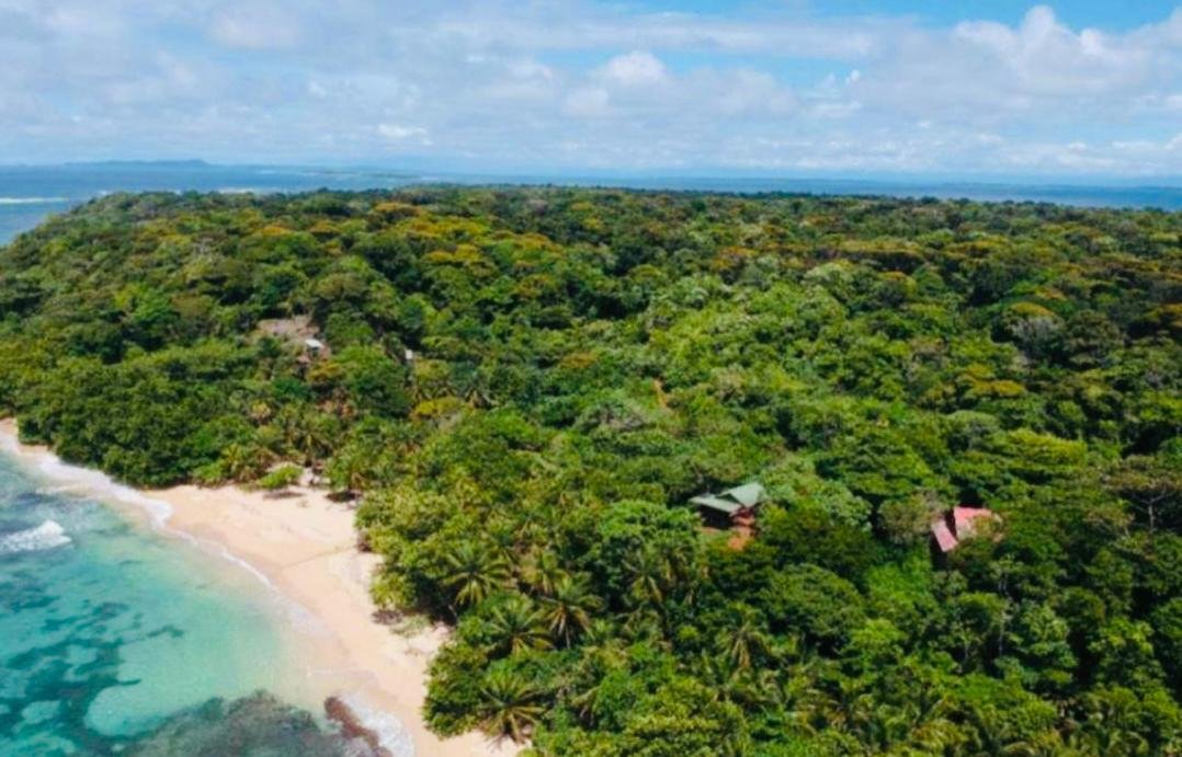 Bastimentos Island, Bocas del Toro Province, Panama 1 - 14776574