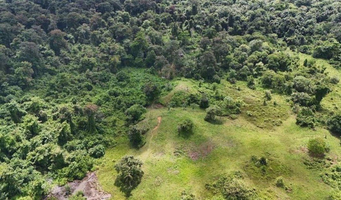 Bastimentos Island, Bocas del Toro Province, Panama 3 - 14776574